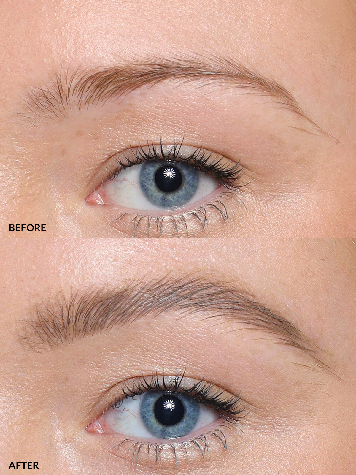 Brow Collection